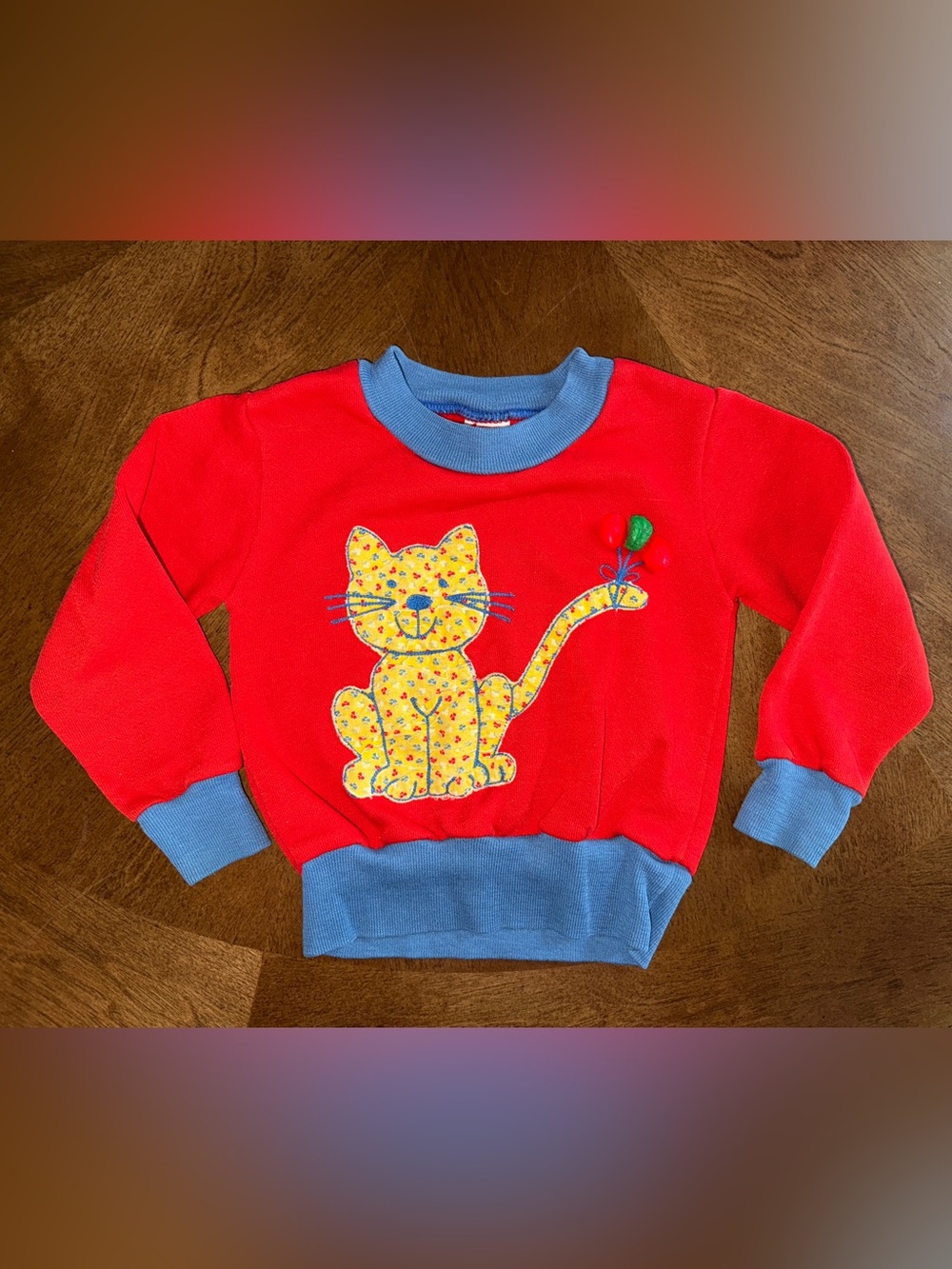 Vintage Sears Red Kids Sweatshirt with Yellow Floral Cat Applique and Blue Trim